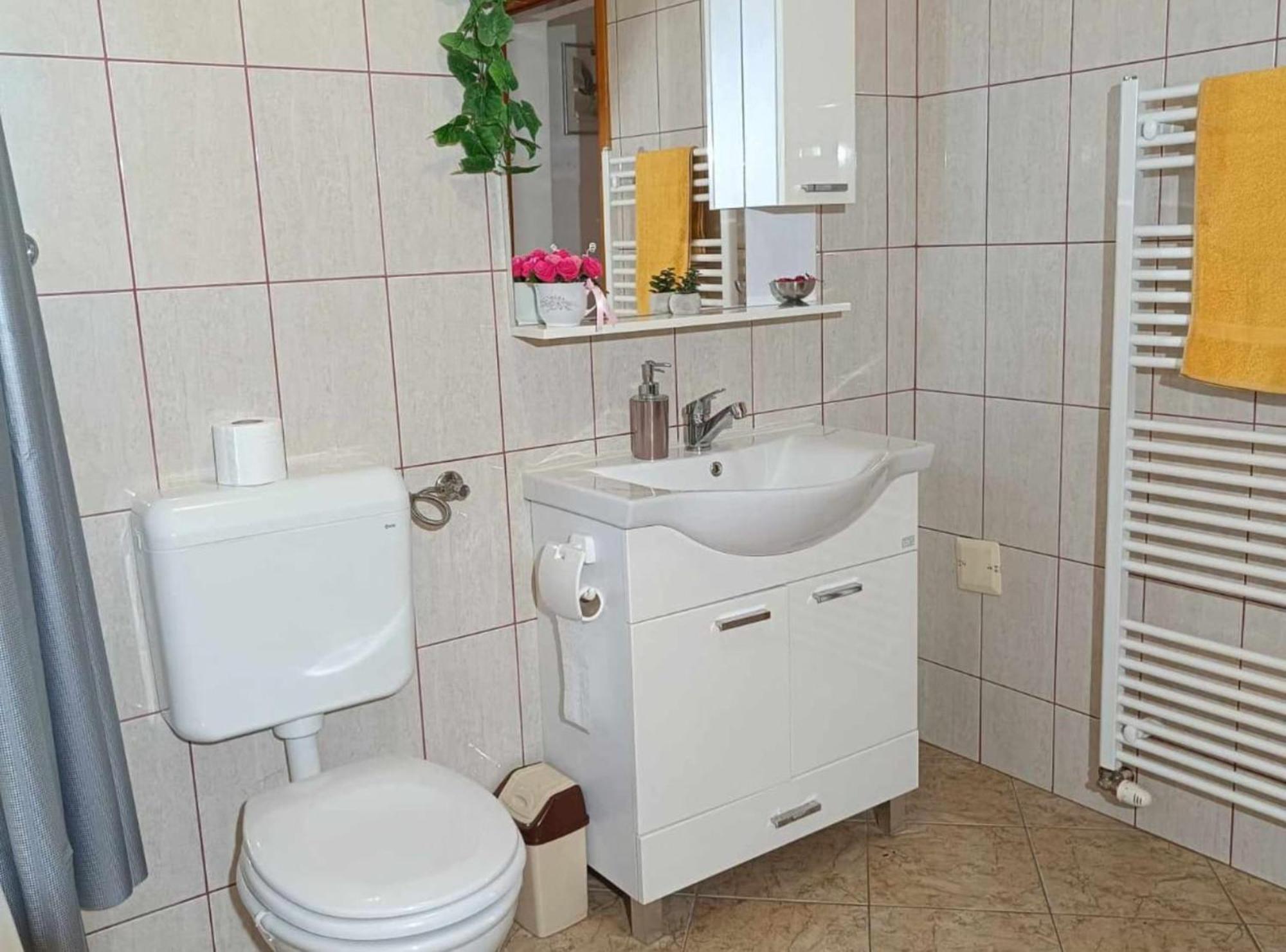 Apartmani Tea I Toni Gradiste Ngoại thất bức ảnh